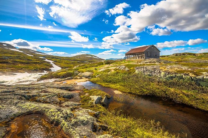 Oslo To Sognefjord Private Full Day Roundtrip Including Flam Railway - What the private guide adds