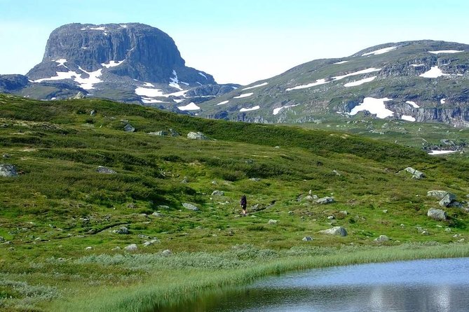 Oslo To Sognefjord Private Full Day Roundtrip Including Flam Railway - Is $1,083.02 per person fair?