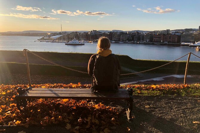 Oslo Unveiled: Private Walking Tour - Why a private Oslo walk can be worth it