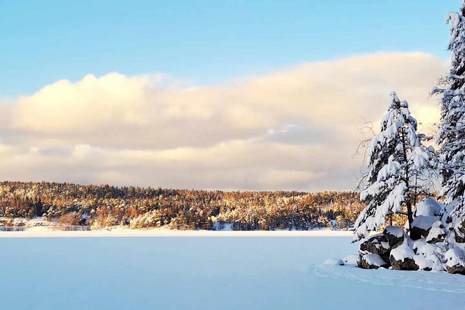 Oslo: Winter wonderland forest hike & campfire with a dog - Key points to know before you book