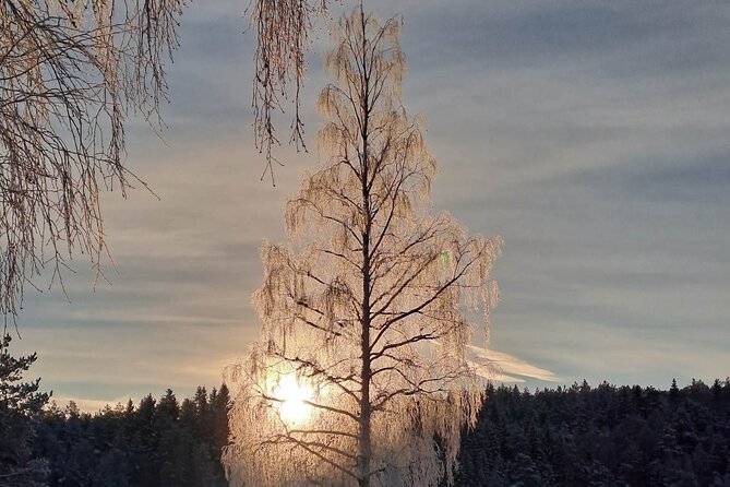 Oslo: Winter wonderland forest hike & campfire with a dog - What the dog adds to the walk