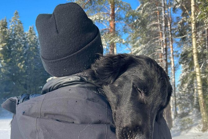 Oslo: Winter wonderland forest hike & campfire with a dog - Ingieråsen brings the best wide views