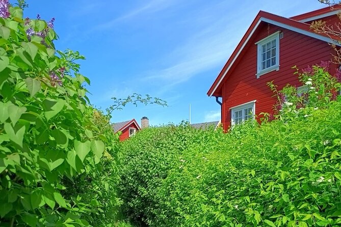 Oslofjord Island Hopping Tour - Key details before you book
