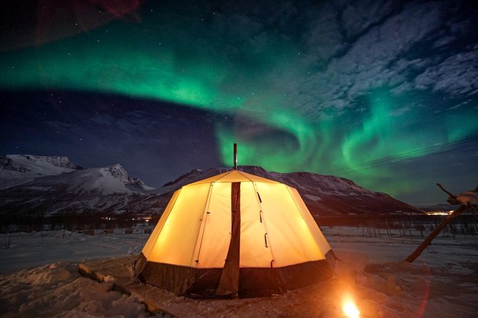 Overnight Stay with Reindeer Sledding & Feeding - Key details before you book