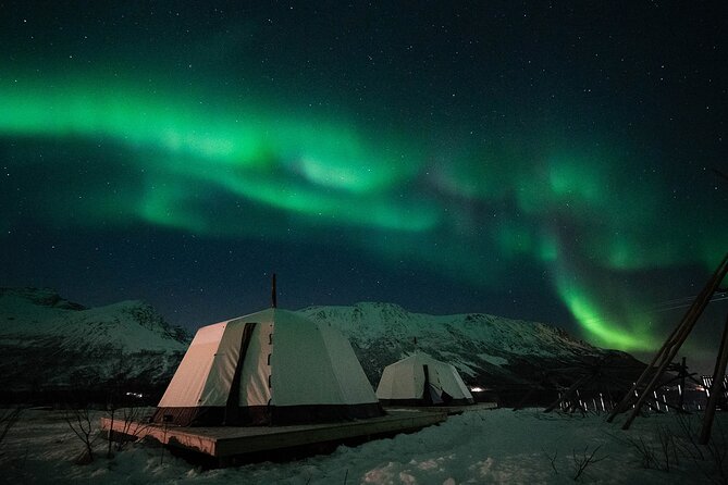 Overnight Stay with Reindeer Sledding & Feeding - From Tromsø meeting point to quiet Kvaløya