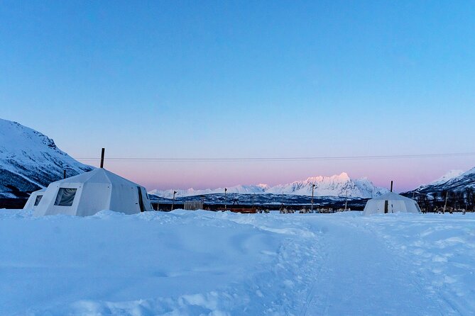 Overnight Stay with Reindeer Sledding & Feeding - Meeting the reindeer on the sledding loop