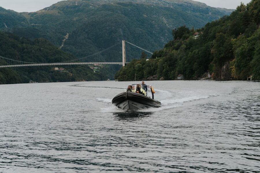 Øystese: Hardangerfjord RIB safari to the Fyksesund branch - Why Fyksesund is worth your time