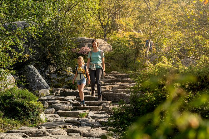Preikestolen | Pulpit Rock - Hike with a local guide - Is $139.48 a fair price?