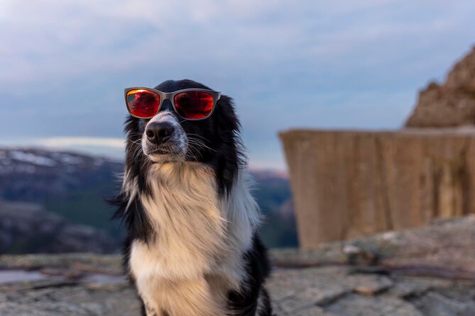 Preikestolen Sunrise Hike And Breakfast Buffet - Is $128.88 good value?