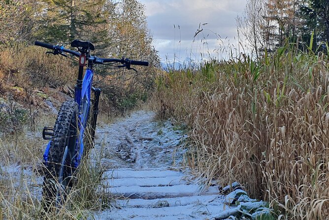 Premium eBike rental - What the $99.15 price really buys you