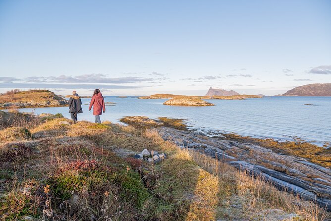 Private Arctic Fjord Roadtrip with Scenic Picnic from Tromso - Why this five-hour outing works well