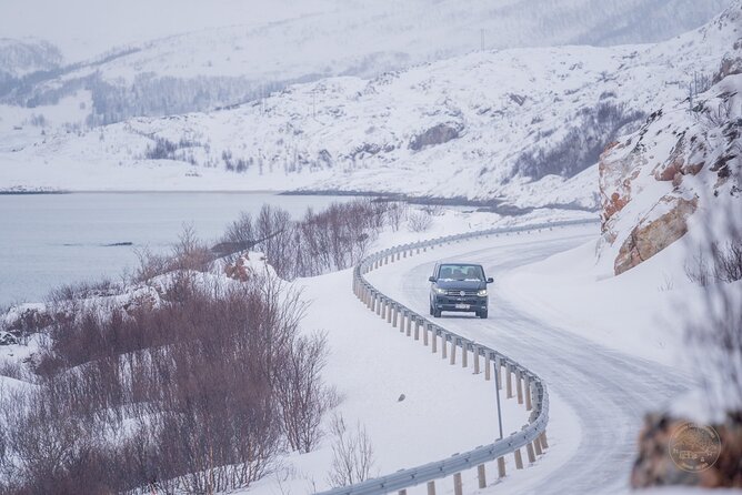 Private Arctic Fjord Roadtrip with Scenic Picnic from Tromso - What the guide can add to the day