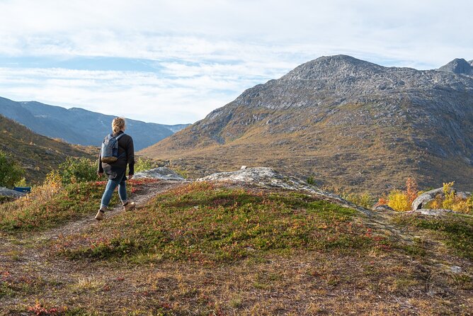 Private Arctic Fjord Roadtrip with Scenic Picnic from Tromso - Leaving Tromsø for Kvaløya
