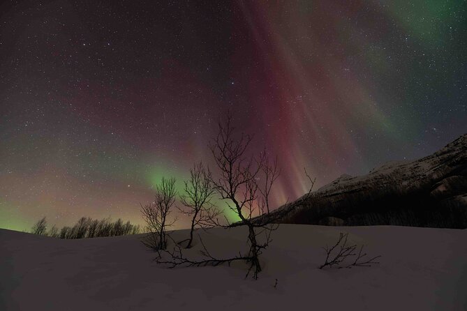 Private Aurora Hunting with Professional Photographer from Alta - Key points to know before booking