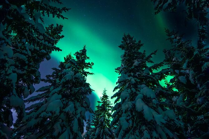 Private Aurora Hunting with Professional Photographer from Alta - Why the private format changes the night