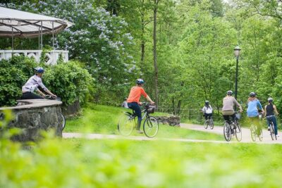 Private Bike Tour (3 hours)