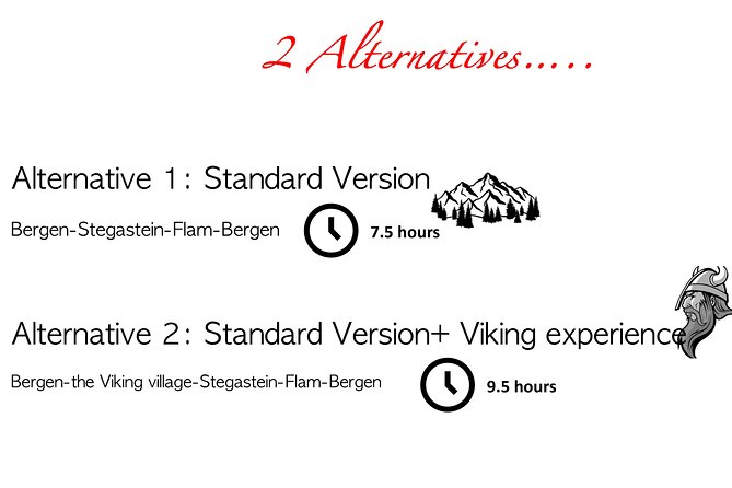 Private Day Tour to Flam and Stegastein - Stegastein Viewpoint at 650 meters