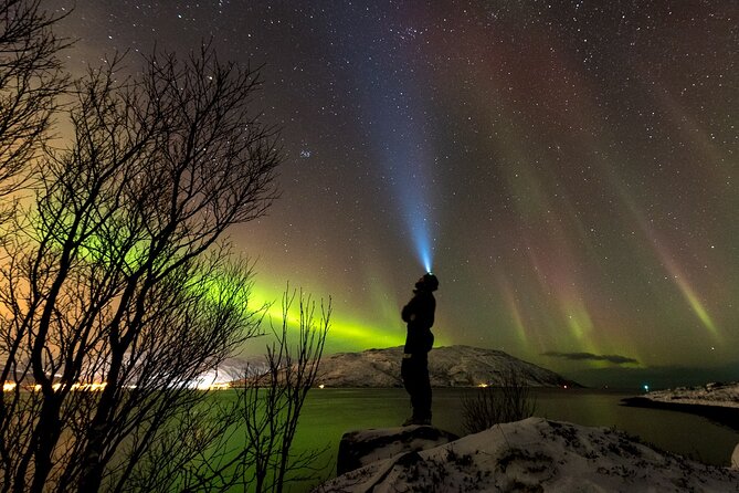 Private & Exclusive Northern Lights Tour with Professional guide - Why a private Tromsø chase can be worth it