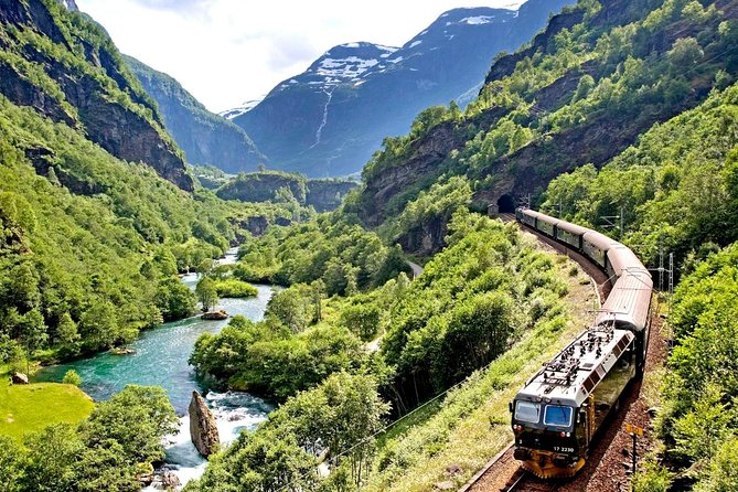 Private Full-Day Round Trip from Oslo to Sognefjord via Flåm Railway - Myrdal, Geilo, and the Long Return