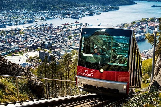 Private Guided City Sightseeing - Bergens Top Attractions - Bryggen’s wooden wharf and narrow lanes