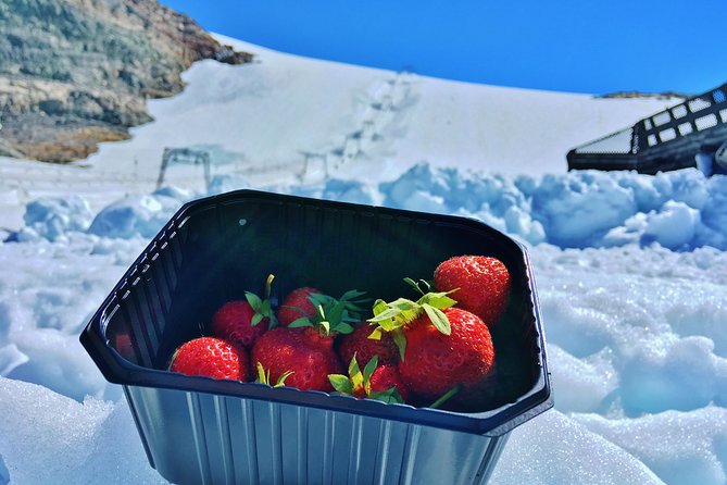 PRIVATE GUIDED TOUR: Folgefonna Glacier roundtrip from Bergen, 8 hours - Climbing to Folgefonna National Park