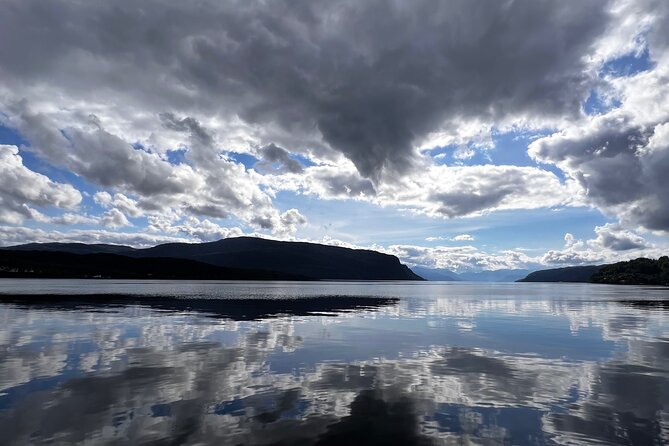 Private Guided Tour of Bergen and the Best of Norwegian Fjords - Key points at a glance