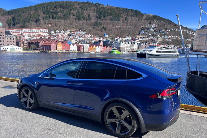 Private Guided Tour of Bergen and the Best of Norwegian Fjords - Crossing the Hardangerfjord bridge