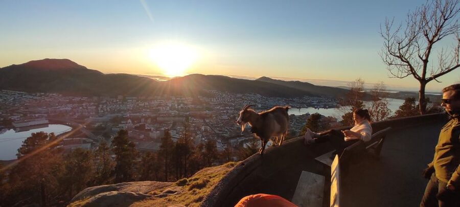 Private hiking tour Bergen mountains like a local - What Makes This Bergen Hike Worth Considering