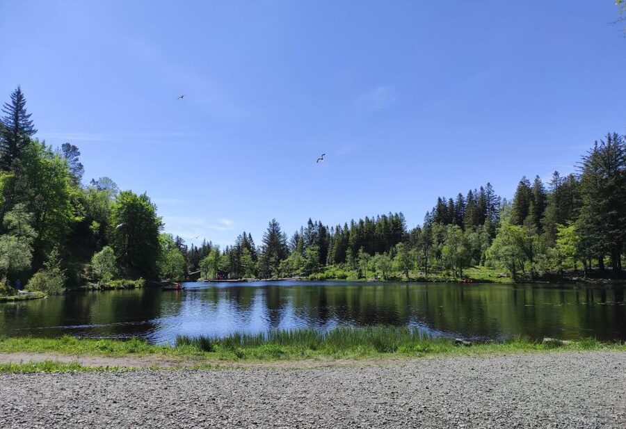 Private hiking tour Bergen mountains like a local - Choosing the Right Route for Your Fitness Level