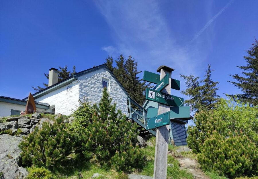 Private hiking tour Bergen mountains like a local - Languages and the Value of a Private Guide