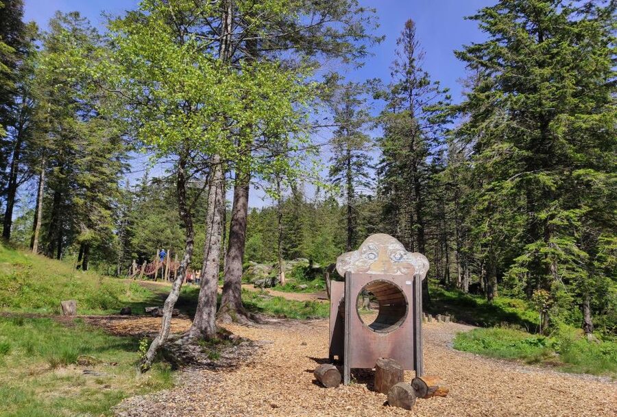 Private hiking tour Bergen mountains like a local - Who Will Get the Most From This Experience?