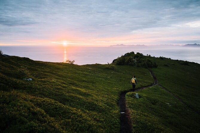 Private Midnight Tour To Gimsøya - What makes this Gimsøya night trip special