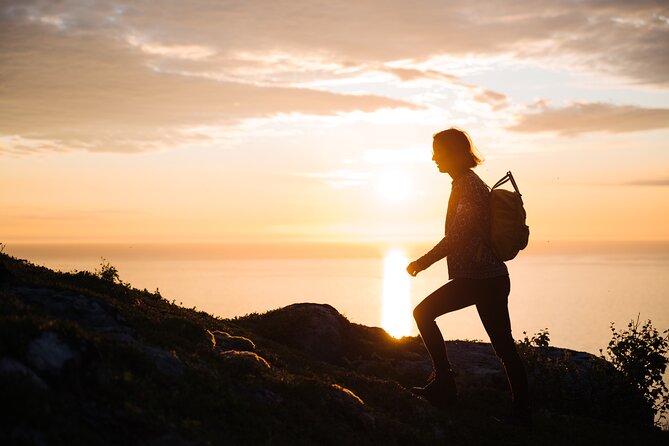 Private Midnight Tour To Gimsøya - The scenic road to Gimsøya