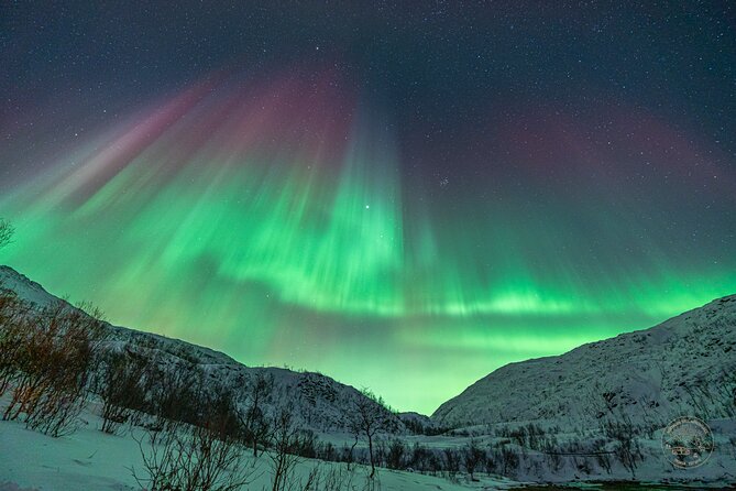 Private Northern Lights Chase with Photography from Tromsø - What the price includes in practical terms