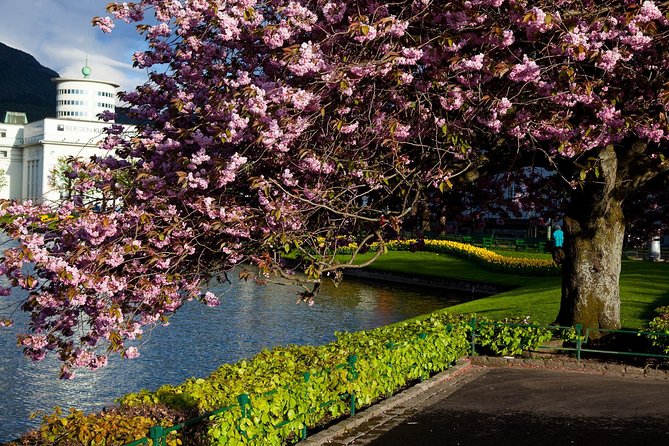 PRIVATE TOUR: Bergen city sightseeing, 3 hours - Fantoft Stave Church on the return