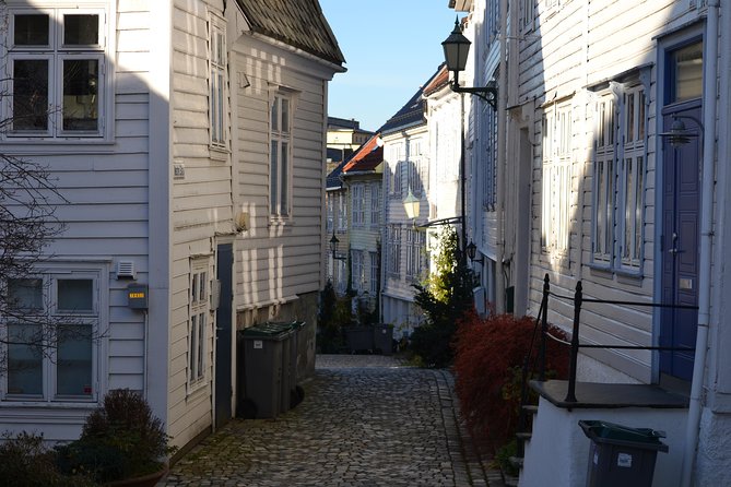 PRIVATE TOUR: Bergen city sightseeing, 3 hours - What the guides add to the experience