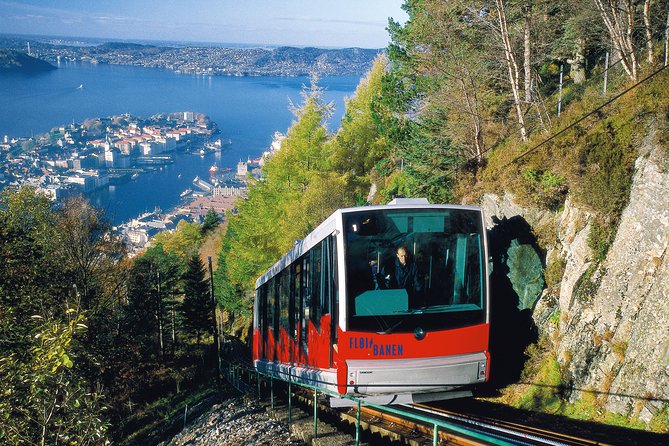 PRIVATE TOUR: Bergen city sightseeing, 5 hours - Fantoft Stave Church is a brief architectural stop