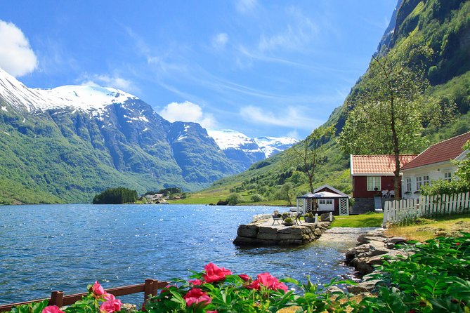 Private tour, Bergen to Oslo - Nærøyfjord Cruise & Flåm Railway - Who should book this experience?