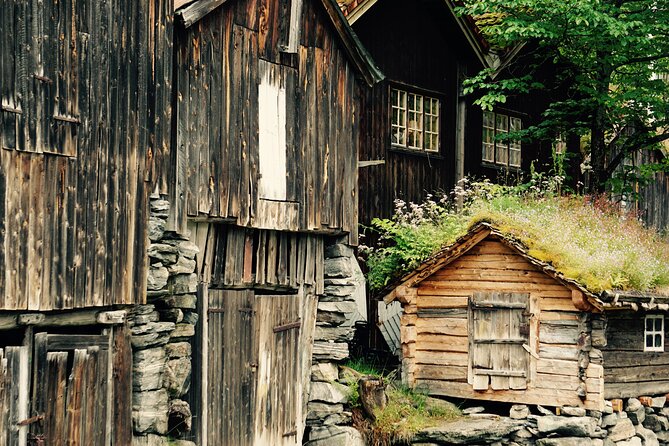 Private tour from Ålesund to Geiranger up to 15 people - Five details that shape this Ålesund to Geiranger day