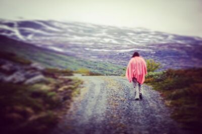 Private tour Geiranger and Glaciers 1 to 15 people