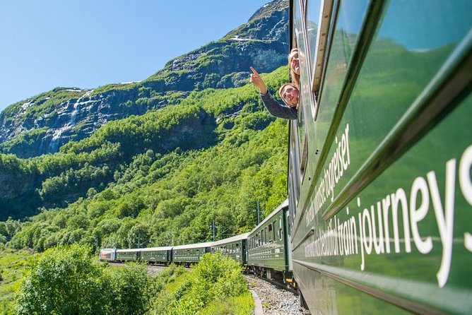 Private tour - Viking Village, Nærøyfjord Cruise and Flåm Railway - The essential details at a glance
