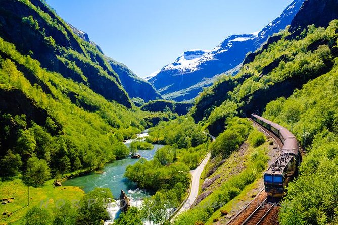 Private tour - Viking Village, Nærøyfjord Cruise and Flåm Railway - Njardarheimr offers a different kind of Viking experience