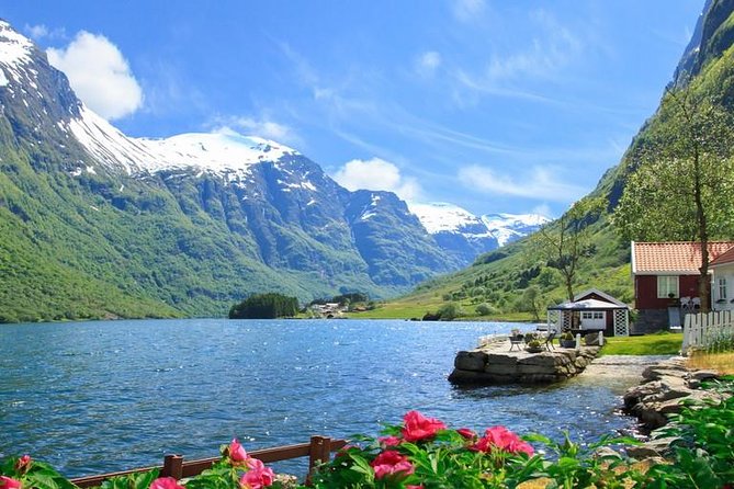Private tour - Viking Village, Nærøyfjord Cruise and Flåm Railway - The Nærøyfjord cruise is the day’s visual centerpiece