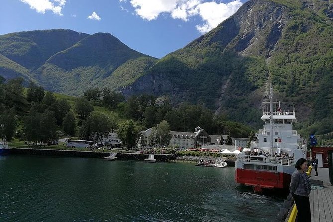 Private tour - Viking Village, Nærøyfjord Cruise and Flåm Railway - Myrdal and the Bergen Railway complete the loop