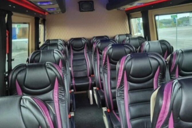 Private transfer From Bergen Airport - Hotels/Port 1-14 pax. - Electric cars and comfort on the road