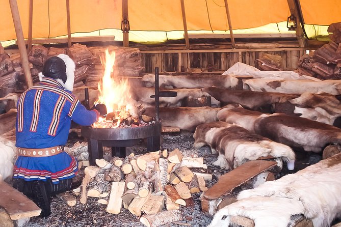 Reindeer Feeding and Sami Culture Including Lunch from Tromso - Should you book the Sami reindeer experience?