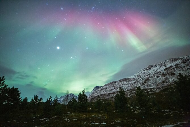 Reindeer Feeding and Sledding, Sami Storytelling Night Tour - Leaving Tromso at 5 pm for the Arctic countryside