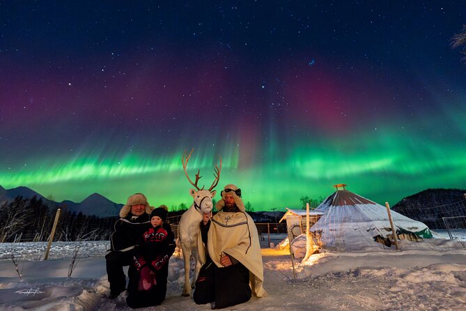 Reindeer Feeding and Sledding, Sami Storytelling Night Tour - Inside the lavvu, the evening becomes more than a photo stop
