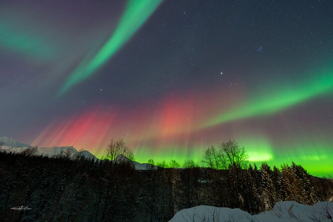 Reindeer Feeding and Sledding, Sami Storytelling Night Tour - Lasso throwing adds a simple, hands-on lesson