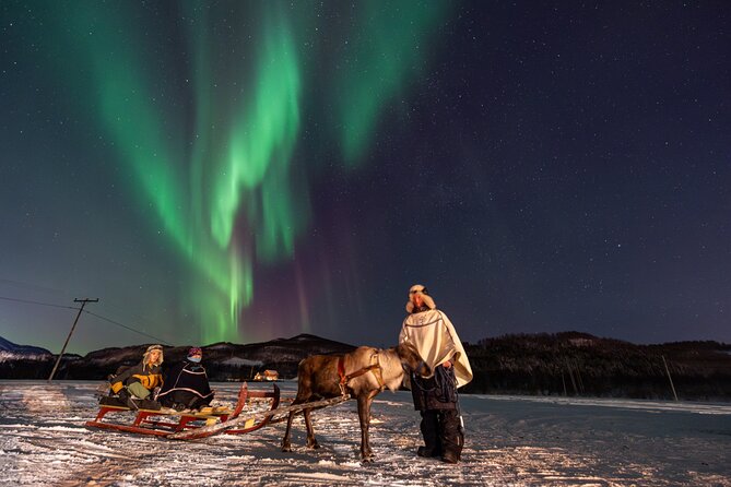 Reindeer Feeding and Sledding, Sami Storytelling Night Tour - What the $226 price includes